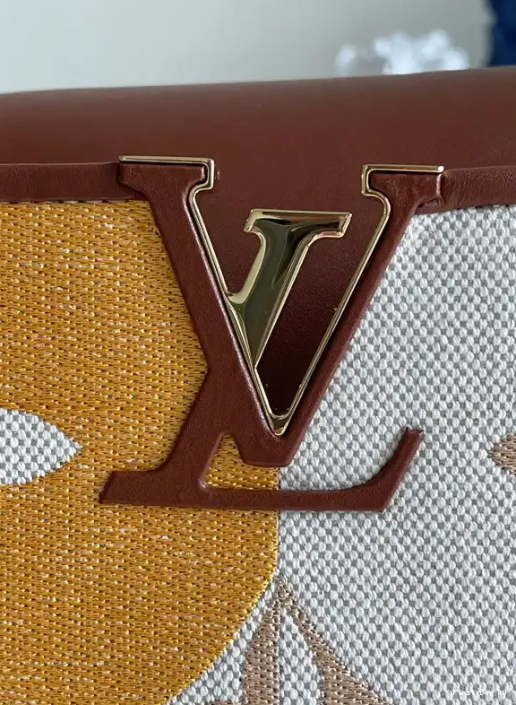 Firstbag ru VUITTON CAPUCINES MM LOUIS 0630